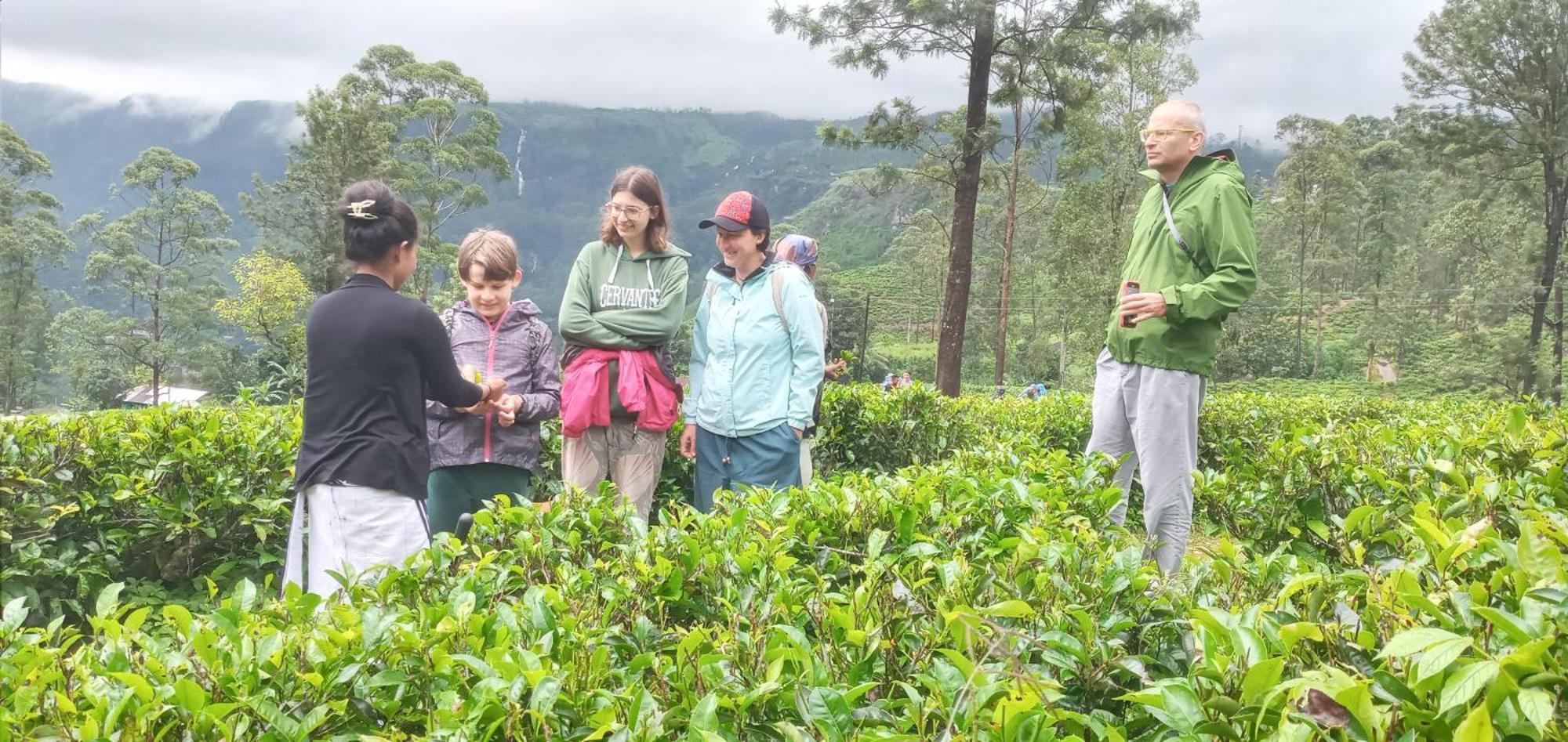 Serenity Heights Nuwara Eliya Eksteriør billede